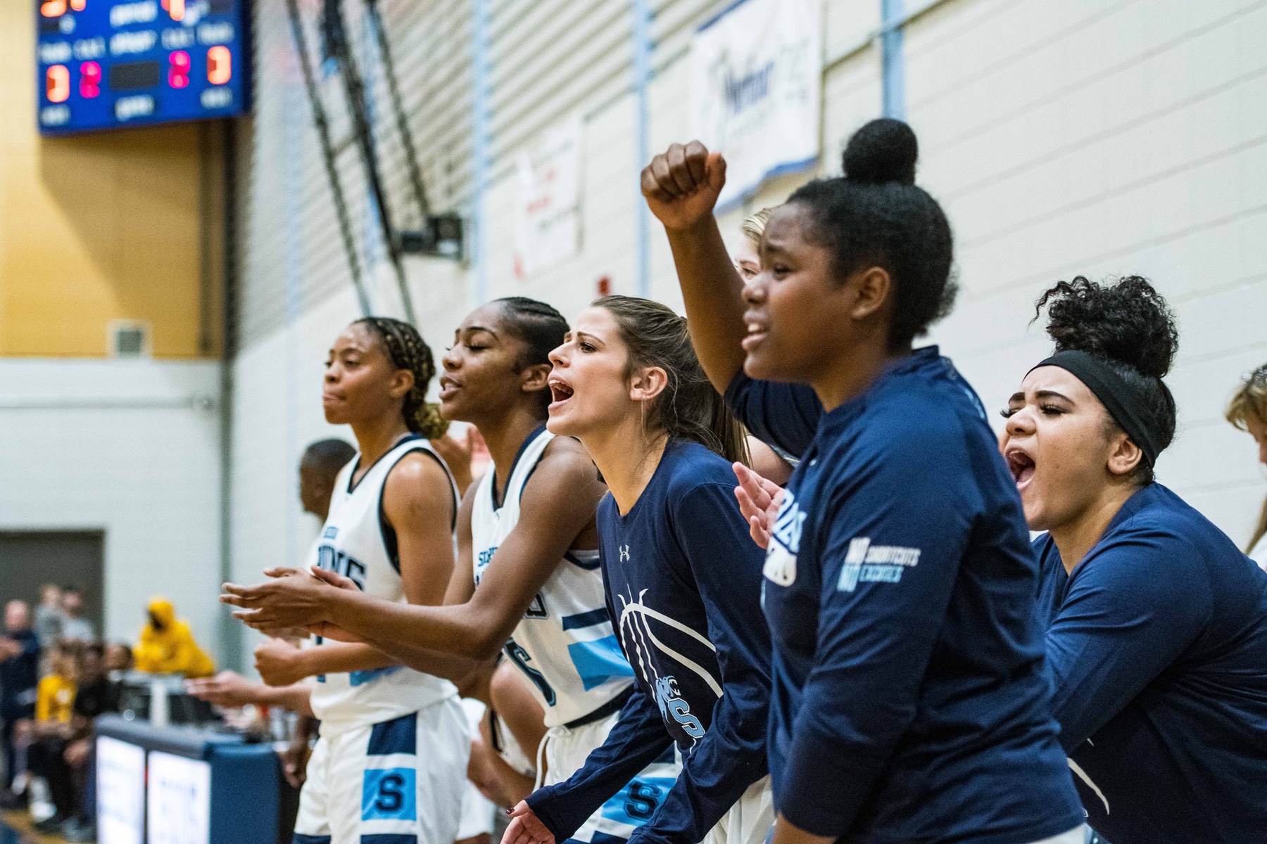 Women's Basketball Fall Short